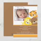 ライオン、トラ、クマ 赤ちゃん写真 出産報告カード 案内状 (正面/裏面)