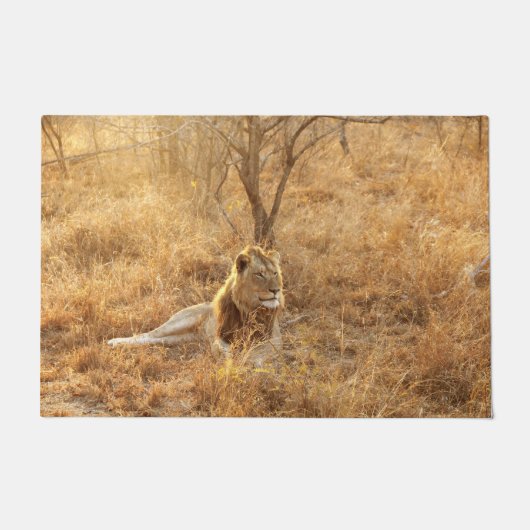 ライオン ドアマット (正面)