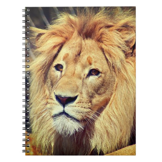 ライオン ノートブック (正面)