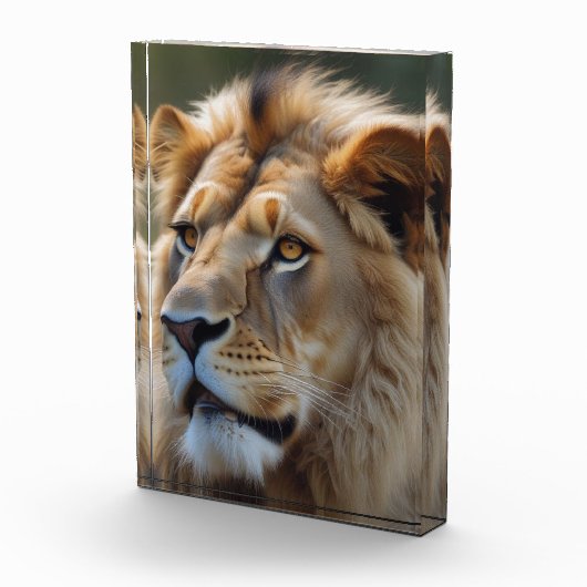 ライオン フォトブロック (右)