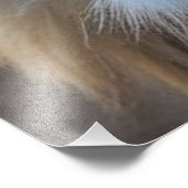 ライオン フォトプリント            (角)