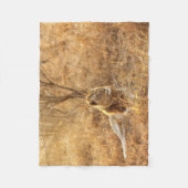 ライオン フリースブランケット (正面)