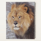 ライオン プランナー手帳 (裏面)