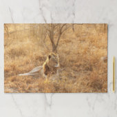 ライオン ペーパーパッド (インサイチュ)