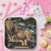 ライオン ペーパープレート (パーティー)