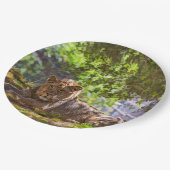 ライオン ペーパープレート (アングル)