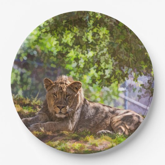 ライオン ペーパープレート (正面)