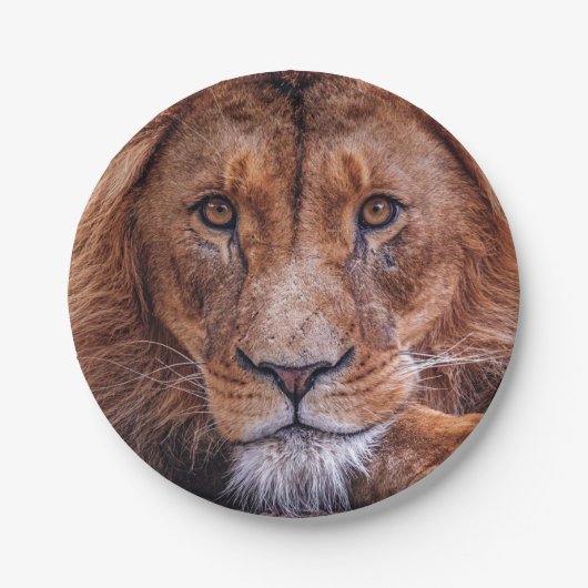 ライオン ペーパープレート (正面)