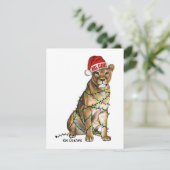 ライオン - ホリデーカード (スタンド正面)