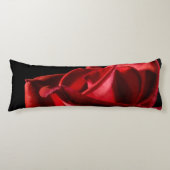 ライオン ボディピロー (正面)