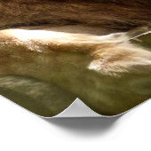 ライオン ポスター (角)