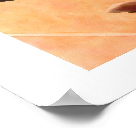 ライオン ポスター (角)