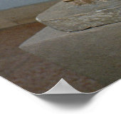 ライオン ポスター (角)