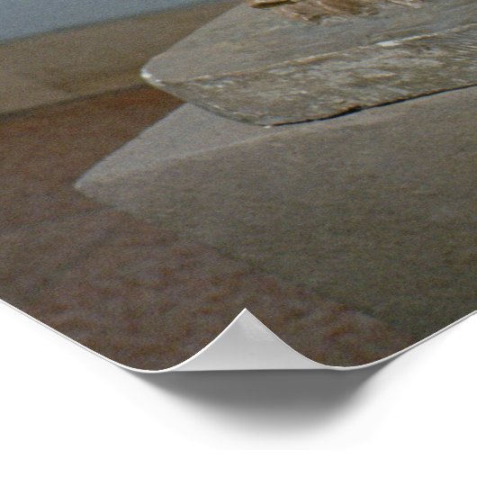 ライオン ポスター (角)