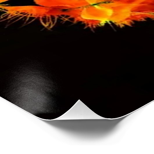 ライオン ポスター (コーナー)