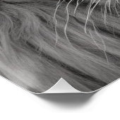 ライオン ポスター (コーナー)