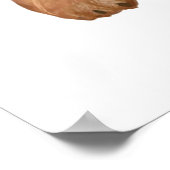 ライオン ポスター (角)