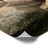 ライオン ポスター (角)