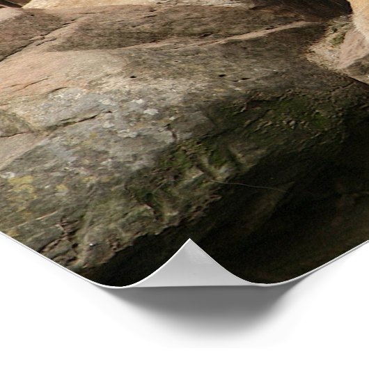 ライオン ポスター (角)