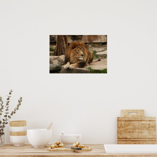 ライオン ポスター (キッチン)
