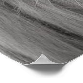 ライオン ポスター (角)