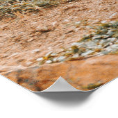 ライオン ポスター (角)