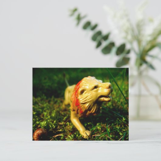 ライオン ポストカード (スタンド正面)