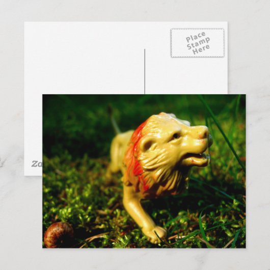 ライオン ポストカード (正面/裏面)