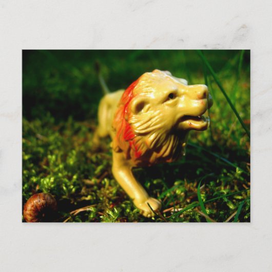 ライオン ポストカード (正面)