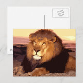 ライオン ポストカード (正面/裏面)