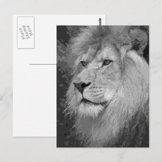 ライオン ポストカード (正面/裏面)