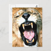 ライオン ポストカード (正面/裏面)