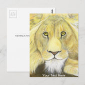 ライオン ポストカード (正面/裏面)
