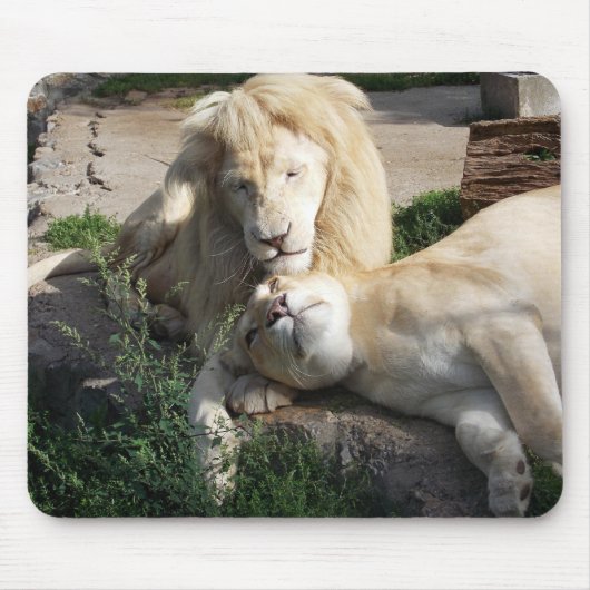 ライオン マウスパッド (正面)