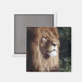 ライオン マグネット (正面/裏面)