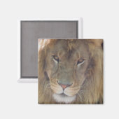 ライオン マグネット (正面/裏面)