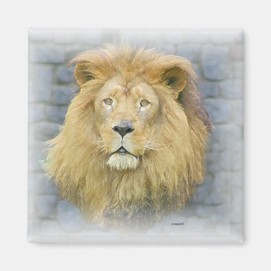 ライオン マグネット (正面)