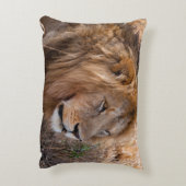 ライオン・マサイ・マラ国立保護区(ケニア) アクセントクッション (裏面(縦))