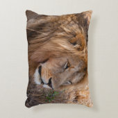 ライオン・マサイ・マラ国立保護区(ケニア) アクセントクッション (正面(垂直))