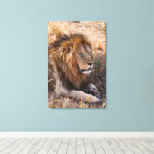 ライオン・マサイ・マラ国立保護区（ケニア） キャンバスプリント (インサイチュ (ウッドフロア))