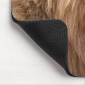 ライオン・マサイ・マラ国立保護区(ケニア) マウスパッド (コーナー)