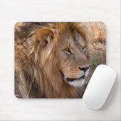 ライオン・マサイ・マラ国立保護区(ケニア) マウスパッド (マウス)