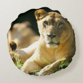 ライオン ラウンドクッション (裏面)