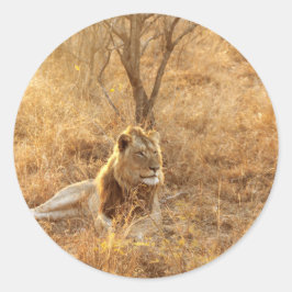 ライオン ラウンドシール