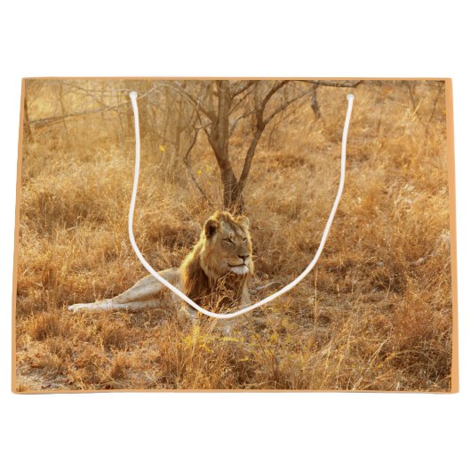 ライオン ラージペーパーバッグ (正面)