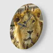 ライオン ラージ壁時計 (傾斜)