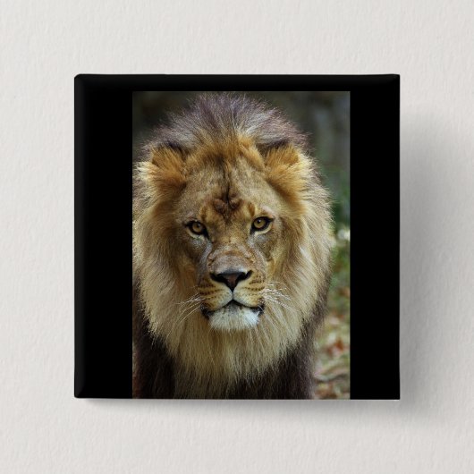 ライオン 缶バッジ (正面)