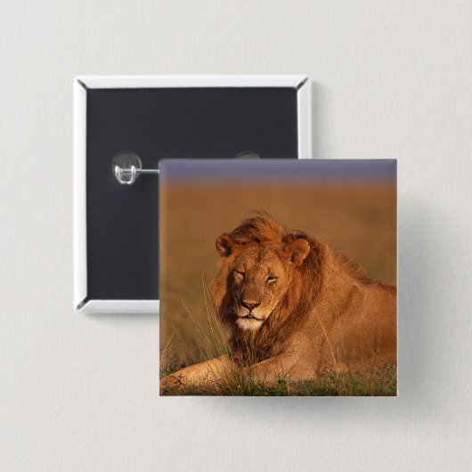 ライオン 缶バッジ (正面&裏面)