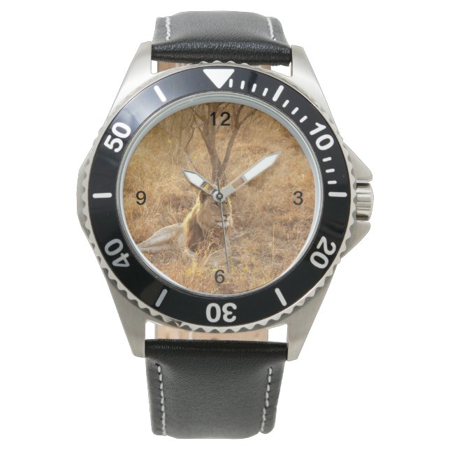 ライオン 腕時計 (正面)