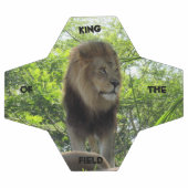 ライオン – 野原のキング – サッカーボール (フラット)